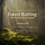Autumn Breeze: A Forest Bathing Experience
