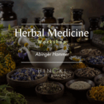 Herbal Medicine Workshop