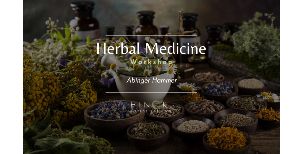 Herbal Medicine Workshop