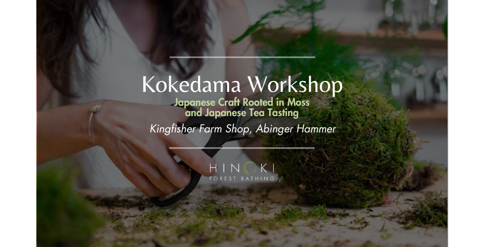 Kokedama Workshop & Japanese Tea Tasting