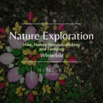 Nature Exploration Walk with Foraging & Mandala Making
