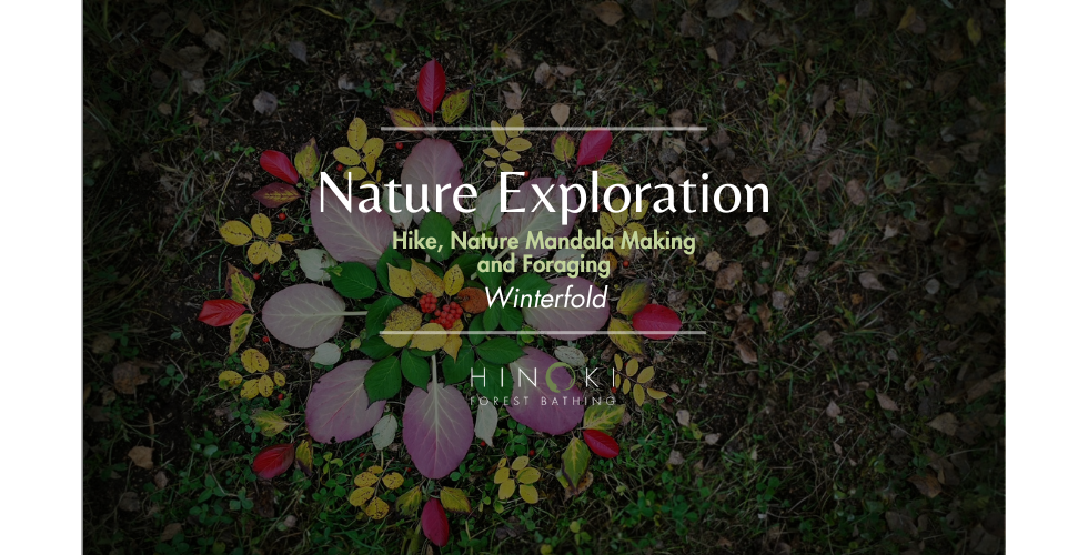 Nature Exploration Walk with Foraging & Mandala Making