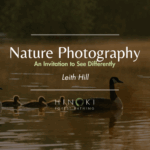 Photography Walk in Nature