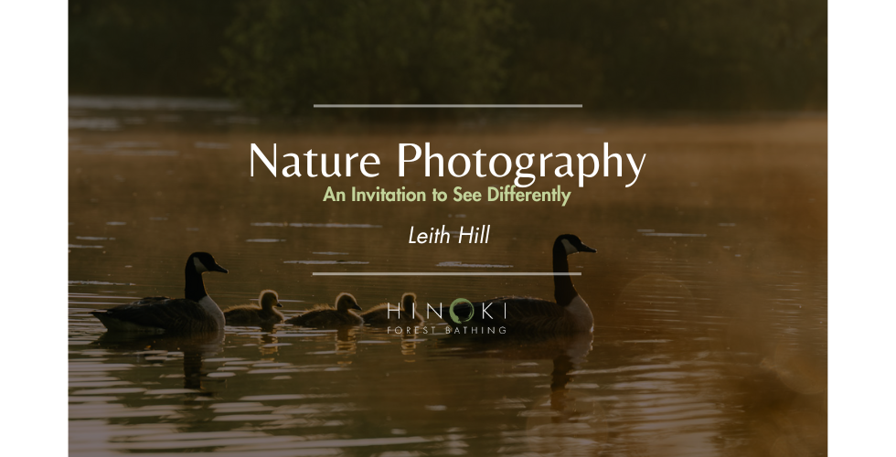 Photography Walk in Nature