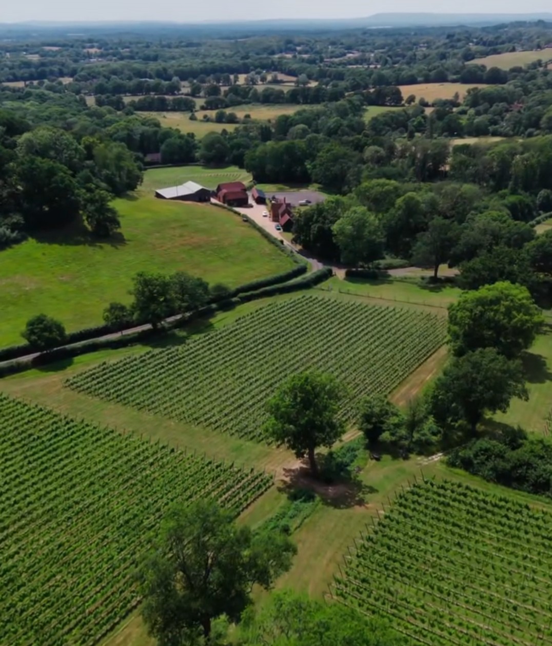 Read more about Tanhurst Estate Vineyard
