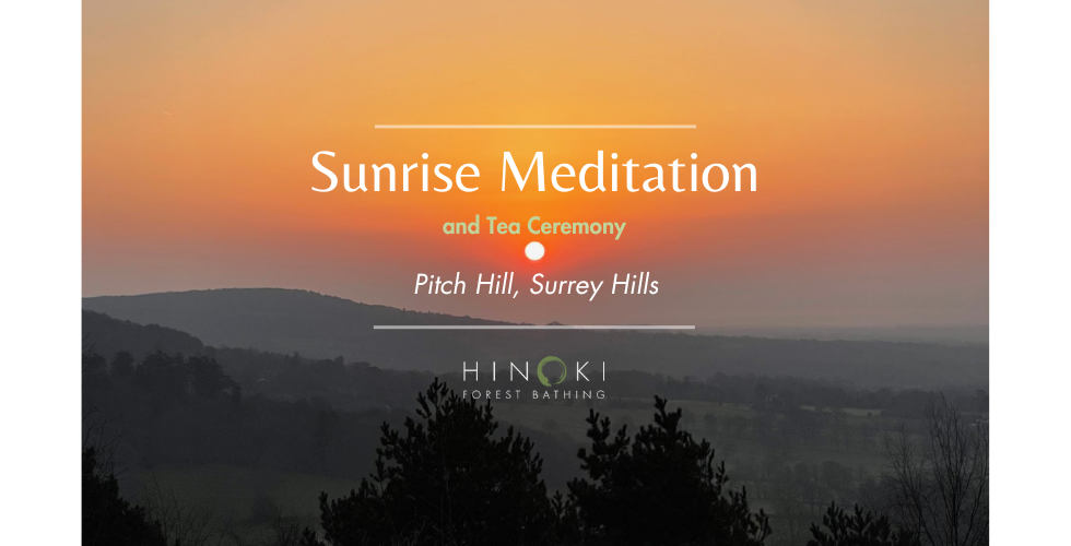 Sunrise Meditation on Pitch Hill