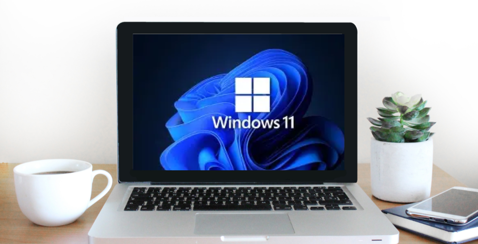 Surrey Chambers of Commerce Windows 11 Update: Everything You Need to Know