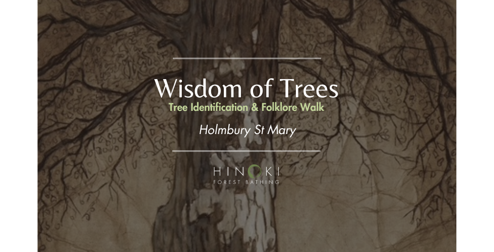 Walking with the Wisdom of Trees
