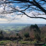 SWT Discovery Walk – Leith Hill’s history & wildlife