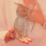 Willow & Wellbeing "Little Owl - awakening your inner wisdom"