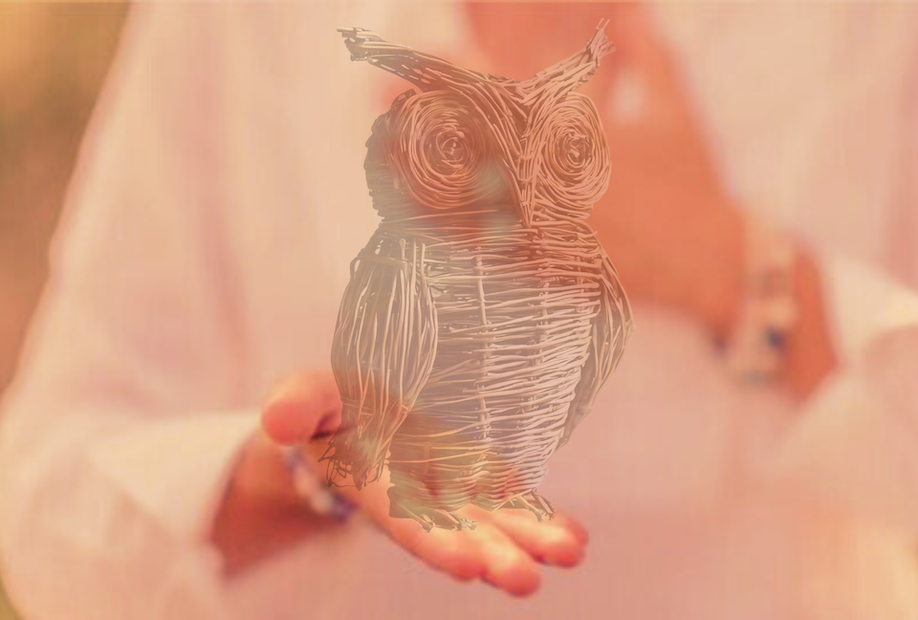 Willow & Wellbeing "Little Owl - awakening your inner wisdom"