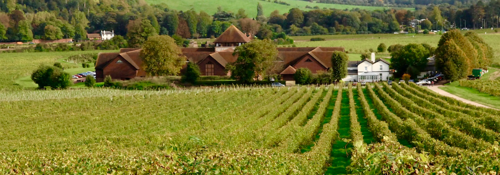 Just Hike: 12km – Mole Gap Linear Walk – Leatherhead to Dorking