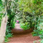 Women’s Wellbeing Walk – 5km Tree discovery walk Abinger Roughs