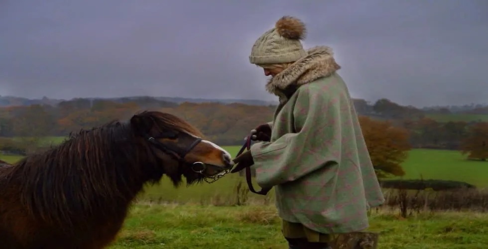 Wellness Walk With A Shetland Pony