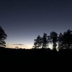 Twilight walk : Blackheath Sensory and Discovery Walk