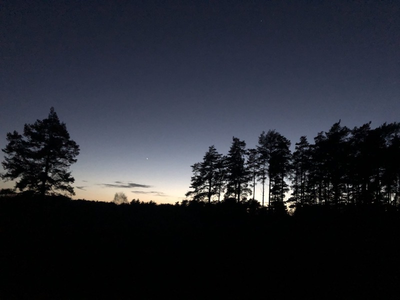 Twilight walk : Blackheath Sensory and Discovery Walk