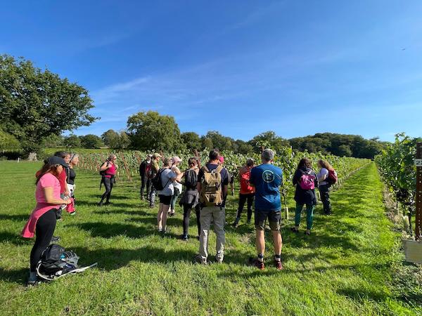 Just Hike: 8km Leith Hill with Tanhurst Vineyard tour