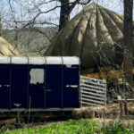 Autumn Equinox evening hike with Cacao Ceremony