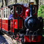 Surrey Hills Spring Fair 2026