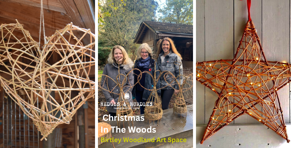 Christmas In The Woods