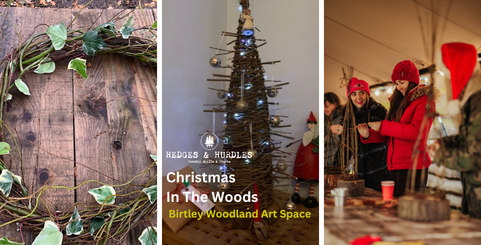 Christmas In The Woods