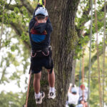 Tree climbing at Surrey Hills Wood Fair 2026