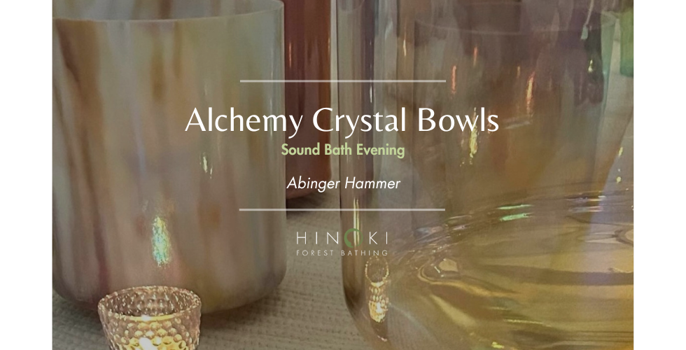 Alchemy Crystal Bowl Sound Bath