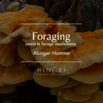 Foraging Mushrooms