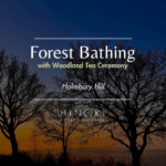 Awakening the Winter Spirit: A Forest Bathing Immersion