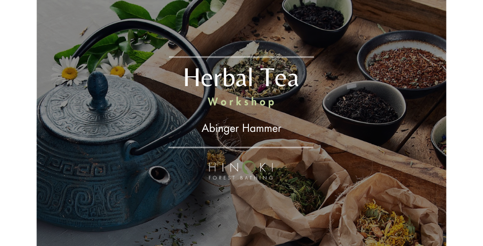 Herbal Tea Workshop