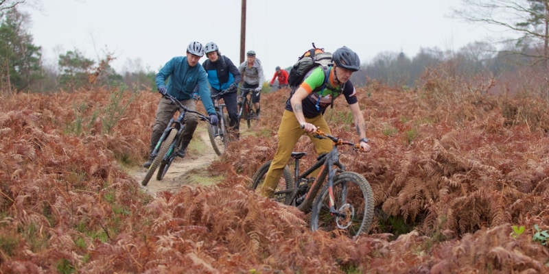 Guided mountain bike experiences and events with Marmalade MTB on the Surrey Hills near London