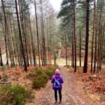 Woodland Walk with Winter Solstice Blessing