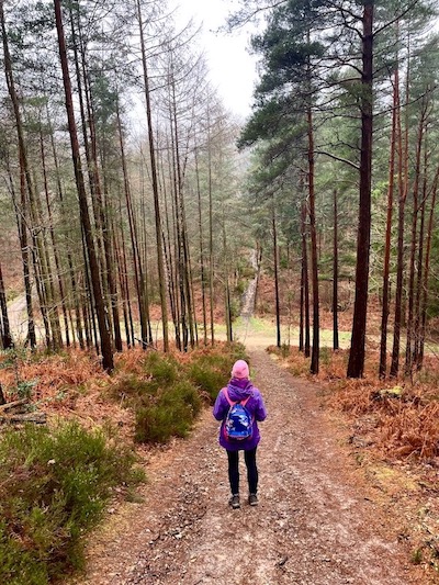 Woodland Walk with Winter Solstice Blessing