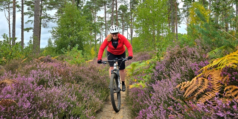 Guided mountain bike experiences and events with Marmalade MTB on the Surrey Hills near London