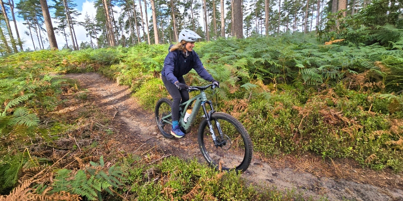 Guided mountain bike experiences and events with Marmalade MTB on the Surrey Hills near London