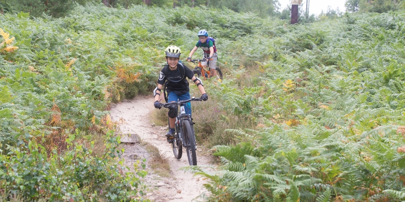 Guided mountain bike experiences and events with Marmalade MTB on the Surrey Hills near London