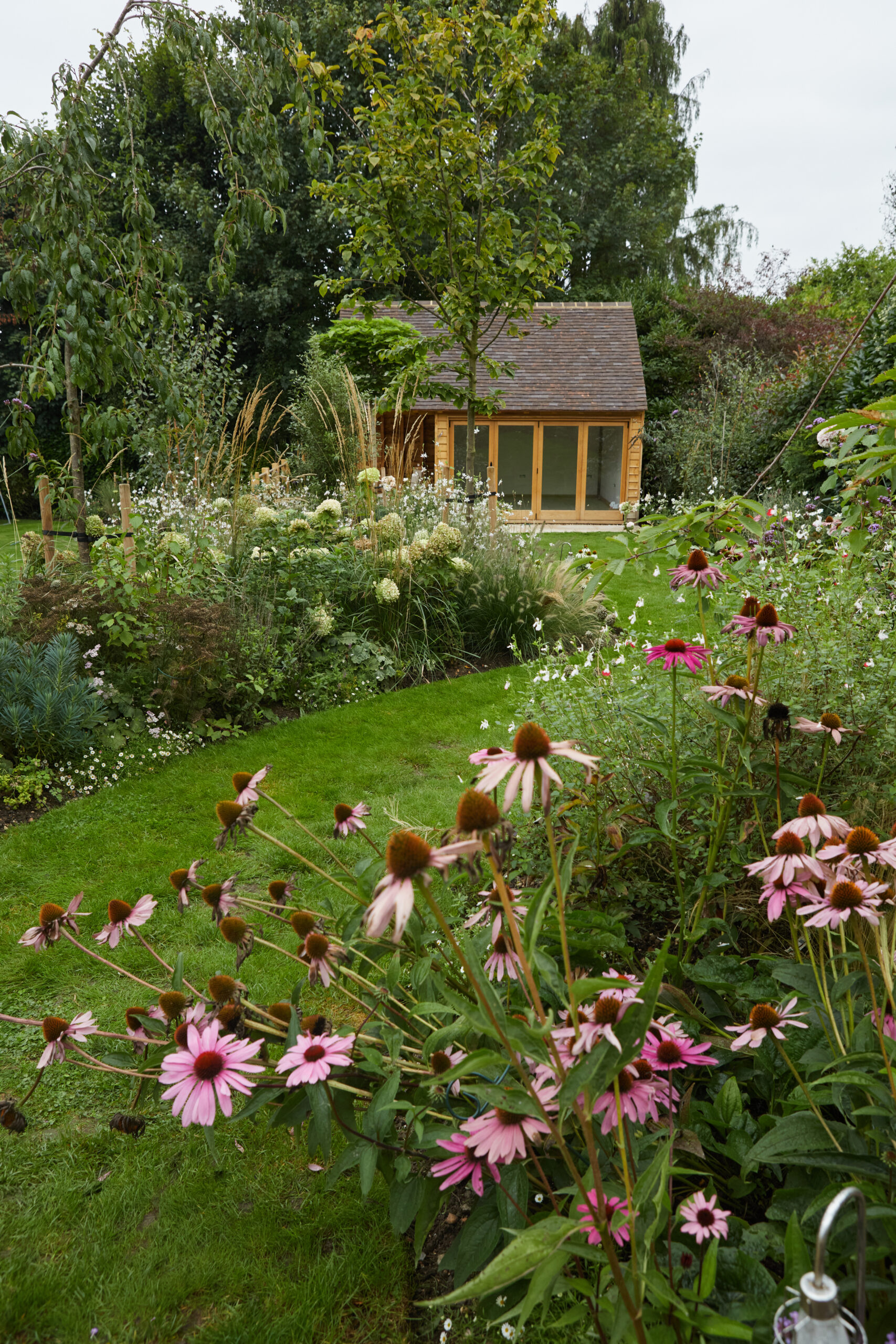 Read more about Wild by Design