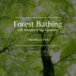 Stirrings of Spring: A Forest Bathing Journey