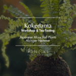 Kokedama Workshop & Japanese Tea Tasting