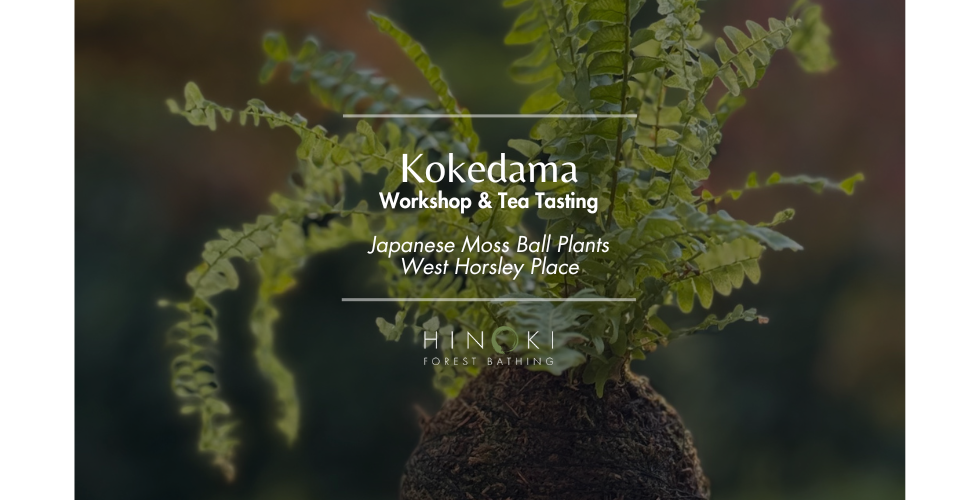 Kokedama Workshop & Japanese Tea Tasting
