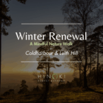 Winter Renewal: A Mindful Winter Nature Walk in Coldharbour/LeithHill
