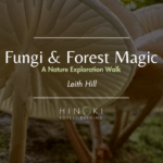 Forest & Fungi Magic Nature Exploration Walk
