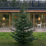 Christmas Trees & Wine