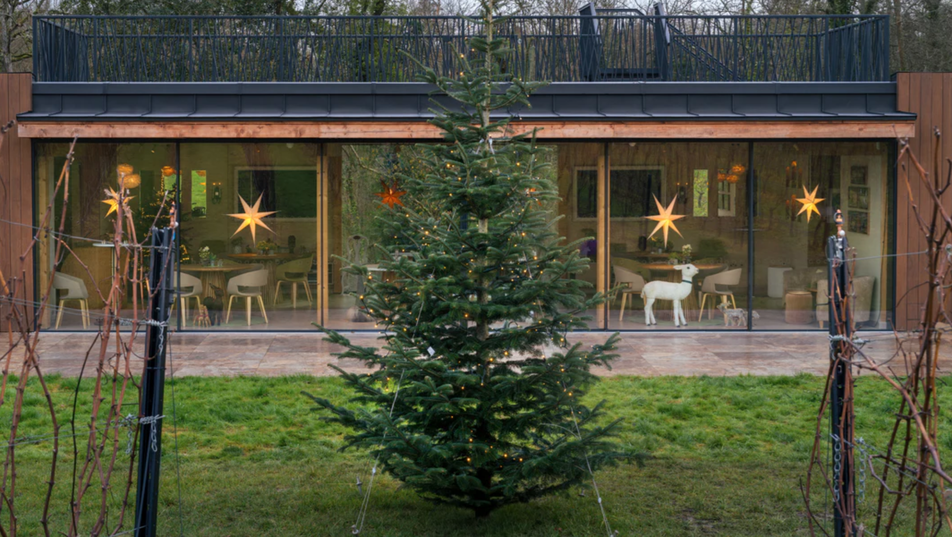 Christmas Trees & Wine