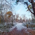 Post Christmas Amble – 8.5km Narnia Trail, Banstead Woods, Chipstead Downs