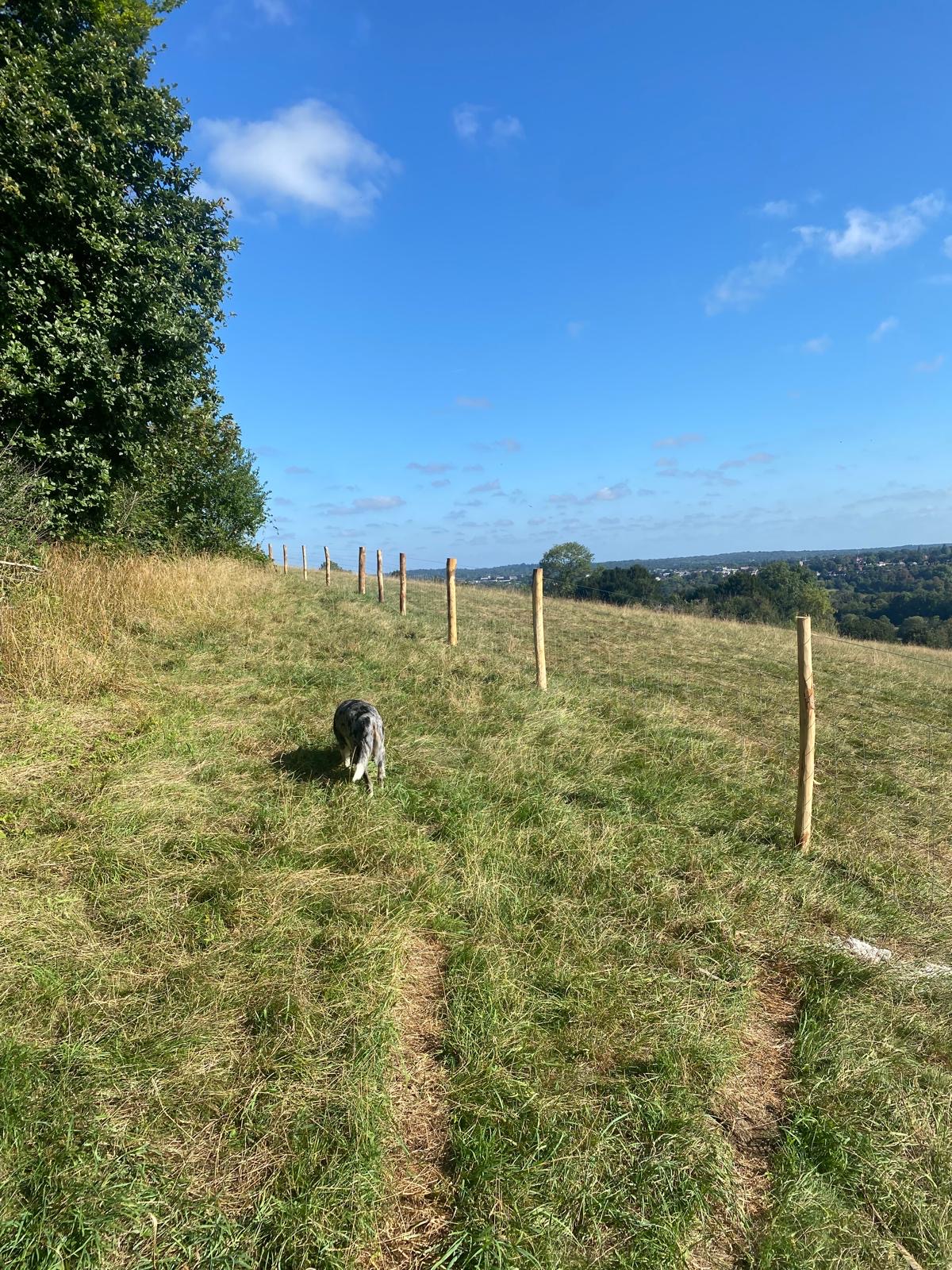 fipl Access infrastructure Norbury Park Farm 