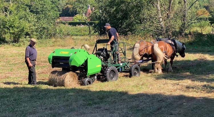 fipl dan brown horseman