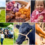 Surrey Hills Country Fair 2026