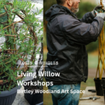 Living Willow Workshops