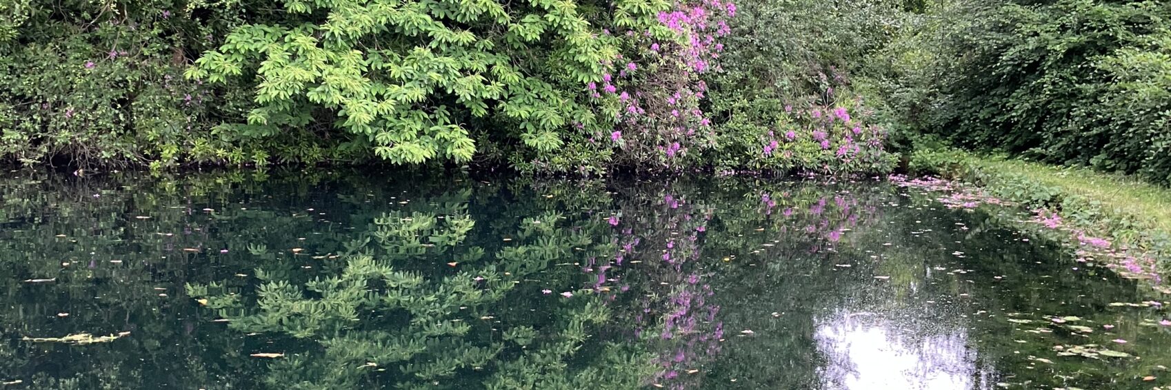 Fishing pool restorations Wotton Fishing Club